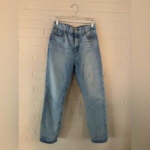 Madewell 90s Straight Jean in Mercer Wash